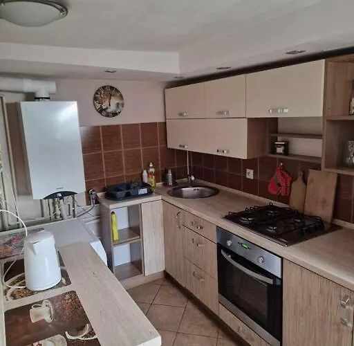 Pod Brzózką Apartament *